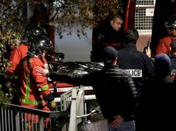 Kasihan! Harimau yang Kabur dari Sirkus di Paris Ditembak Mati