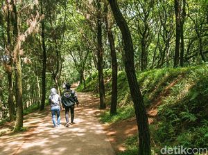 Ayo Rekreasi ke Hutan di Tengah Tangsel Ayo Rekreasi ke Hutan di Tengah Tangsel