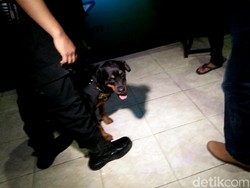 Melihat Aksi Anjing Dora dan Bule Saat Razia Kelab Malam di Bekasi