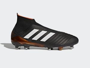 Kembalinya Sang Predator