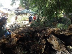 Brak! Dahan Pohon Beringin di Sumber Tiri Tumbang, 9 Orang Luka