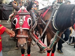 Cerita Kusir yang Tidur Bareng Kuda dari Solo ke Medan