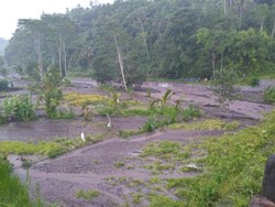 Gunung Agung Meletus, Lahar Dingin Sapu Sawah Warga
