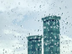 Raindrop in My Window