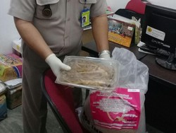 Karantina Surabaya Amankan Ginseng dan Bibit Padi Asal Korsel