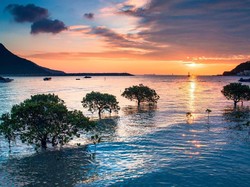 Wisata Alam di Hong Kong, Cakep Juga!