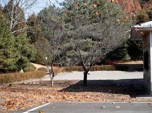 Tentara Korut yang Membelot ke Korsel Mengaku Membunuh