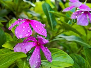 After The Rain