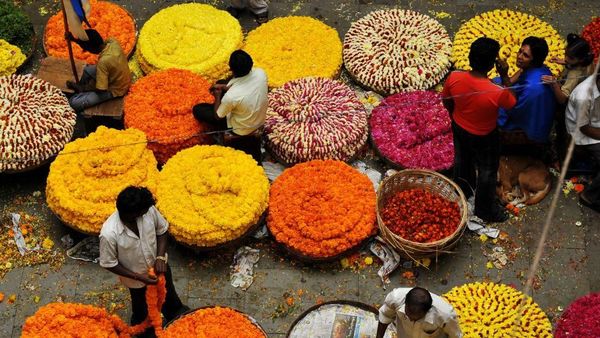 Foto: Musim Panen Paling Berwarna di Dunia