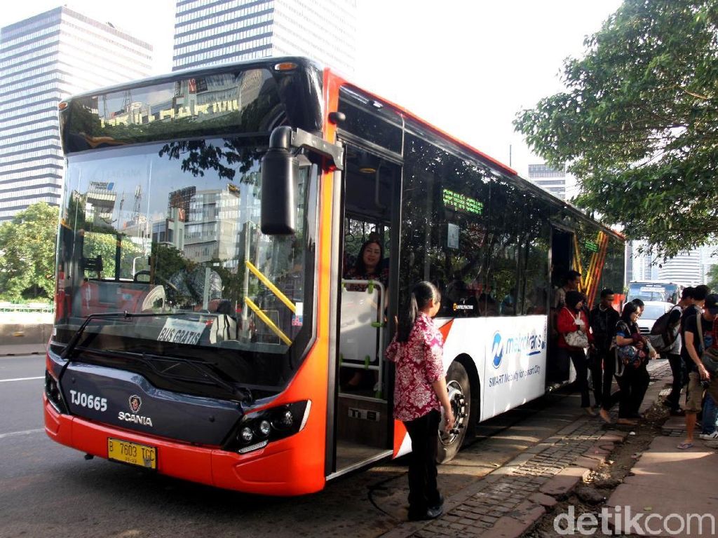 TransJ Siapkan Bus Gratis Angkut Pengunjung Ragunan Besok TransJ Siapkan Bus Gratis Angkut Pengunjung Ragunan Besok