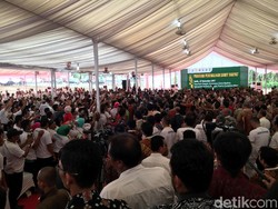 Jokowi Bertemu Petani Sawit dan Bagikan Sertifikat Tanah di Sumut