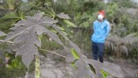 Foto: Hujan Abu Gunung Agung, Warga Bali Gunakan Masker
