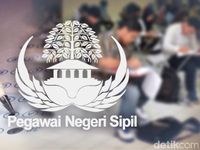 Berita Dan Informasi Cpns Terkini Dan Terbaru Hari Ini - Detikcom