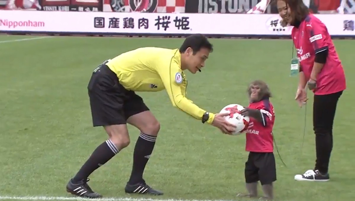 Foto: J League