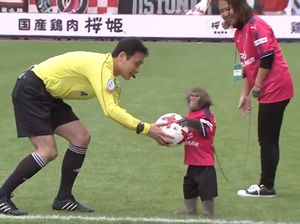 Laga Sepakbola Ini Diawali dengan... Monyet Beri Bola ke Wasit
