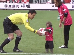 Laga Sepakbola Ini Diawali dengan... Monyet Beri Bola ke Wasit