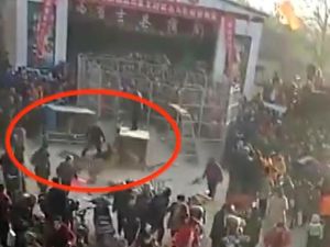 Bikin Panik, Harimau Sirkus di China Lepas Saat Pertunjukan