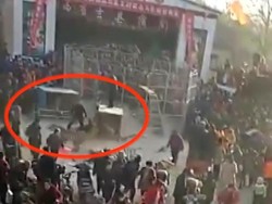 Bikin Panik, Harimau Sirkus di China Lepas Saat Pertunjukan