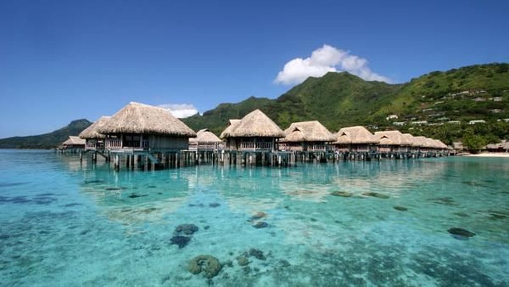 Foto: Ada Pulau Surga di Tengah Samudera Pasifik Foto: Ada Pulau Surga di Tengah Samudera Pasifik
