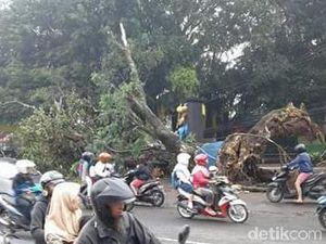 Pohon Tumbang di Wisata Wendit, Aliran Listrik dan PDAM Mati