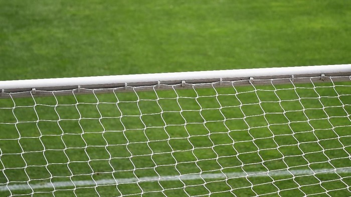 Gawang, Ilustrasi Gawang LONDON, ENGLAND - APRIL 25: An Eagle sits on the goal post during the Barclays Premier League match between Crystal Palace and Hull City at Selhurst Park on April 25, 2015 in London, England. (Photo by Christopher Lee/Getty Images)