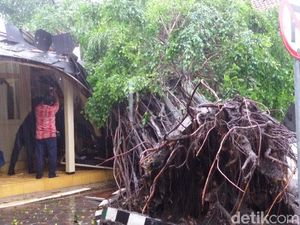 DIY dalam 2 Hari: 29 Lokasi banjir, 44 Longsor, 68 Pohon Tumbang