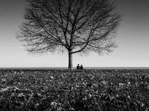 Jepretan Hitam Putih yang Memukau Jutaan Pasang Mata