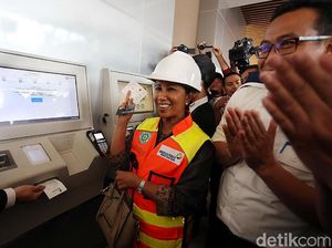 Kisah Rini di 2017: Proyek Kecebong dan Bentuk Holding BUMN