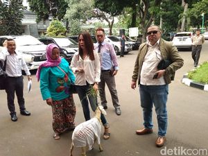 Mbeek... Ini Momen Razman-Putri Stagi Gandeng Kambing ke Polda Metro