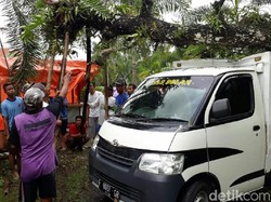 Mobil Ringsek Tertimpa Pohon di Purworejo