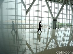 Luhut: Bandara Bali Utara Dibangun Tanpa APBN