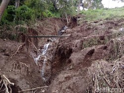 Irigasi Putus Kena Longsor, 30 Hektar Lahan Sayur di Semarang Merana