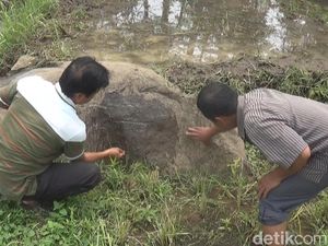 Foto: Batu Diduga Prasasti Peninggalan Majapahit