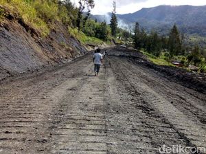 Ada Trans Papua, Sorong-Merauke Bisa Dijajal Lewat Darat di 2019 Ada Trans Papua, Sorong-Merauke Bisa Dijajal Lewat Darat di 2019