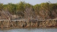Foto: Ini Pulau Terpencil yang Akan Jadi Rumah Sementara Rohingya