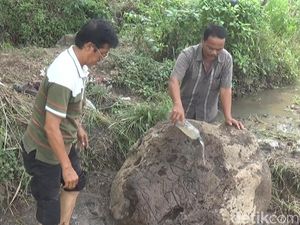 Video: 2 Prasasti Raja Terakhir Majapahit Ditemukan di Sawah Video: 2 Prasasti Raja Terakhir Majapahit Ditemukan di Sawah