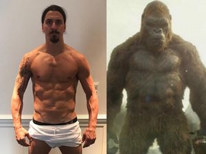 Foto: Tubuh Kekar Berotot Seperti King Kong Ala Zlatan Ibrahimovic Foto: Tubuh Kekar Berotot Seperti King Kong Ala Zlatan Ibrahimovic