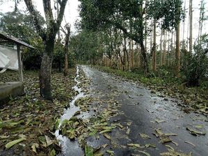 Melihat Desa Besakih yang Ditinggal Warga Imbas Erupsi Gunung Agung