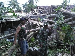 Angin Kencang di Banyumas, Pohon Tumbang Timpa Rumah dan Pemotor