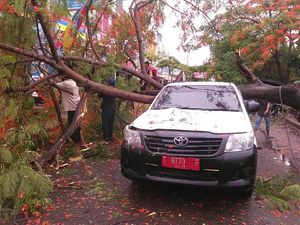 Mobil Pelat Merah di Karawang Tertimpa Pohon Tumbang Mobil Pelat Merah di Karawang Tertimpa Pohon Tumbang