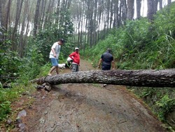 Angin Kencang Masih Ancam Jabar Dua Hari ke Depan