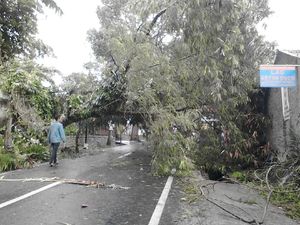 BMKG Bandung: Badai di Lembang Dampak Siklon Dahlia BMKG Bandung: Badai di Lembang Dampak Siklon Dahlia