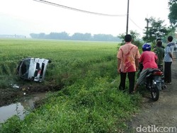 Sopir Ngantuk, Mobil Siaga Desa Muat Ayam Terjun ke Sawah
