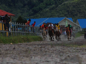 Timor Tengah Utara Terus Gaet Wisman Lewat Lomba Pacuan Kuda