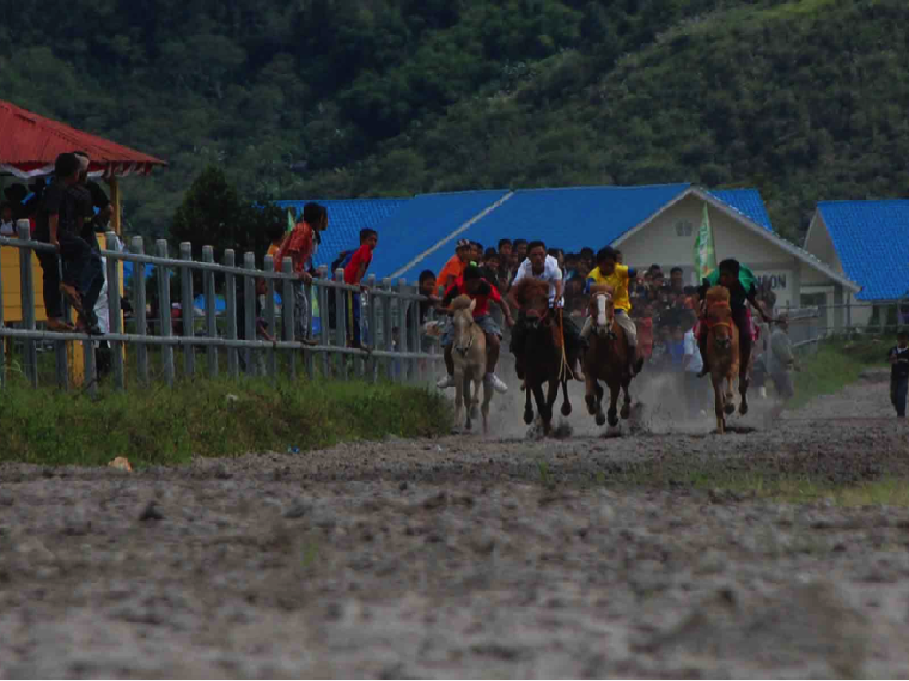 Timor Tengah Utara Terus Gaet Wisman Lewat Lomba Pacuan Kuda Timor Tengah Utara Terus Gaet Wisman Lewat Lomba Pacuan Kuda