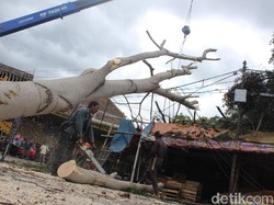 Angin Kencang, Dua Pohon di Garut Tumbang Timpa Tiang Listrik