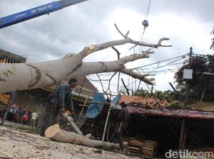 Siklon Dahlia, BPBD Garut Minta Warga Hindari Pohon Rindang