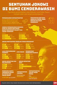 Jokowi Akui Belum Semua Jalan di Papua Mulus
