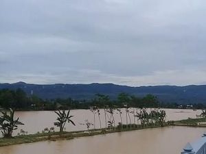 Kepala Pelaksana BPBD Pacitan: Korban Banjir dan Longsor 25 Orang Kepala Pelaksana BPBD Pacitan: Korban Banjir dan Longsor 25 Orang