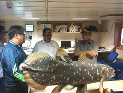 Di Dalam Kapal LIPI, Menpar Bertemu Saudara Dinosaurus